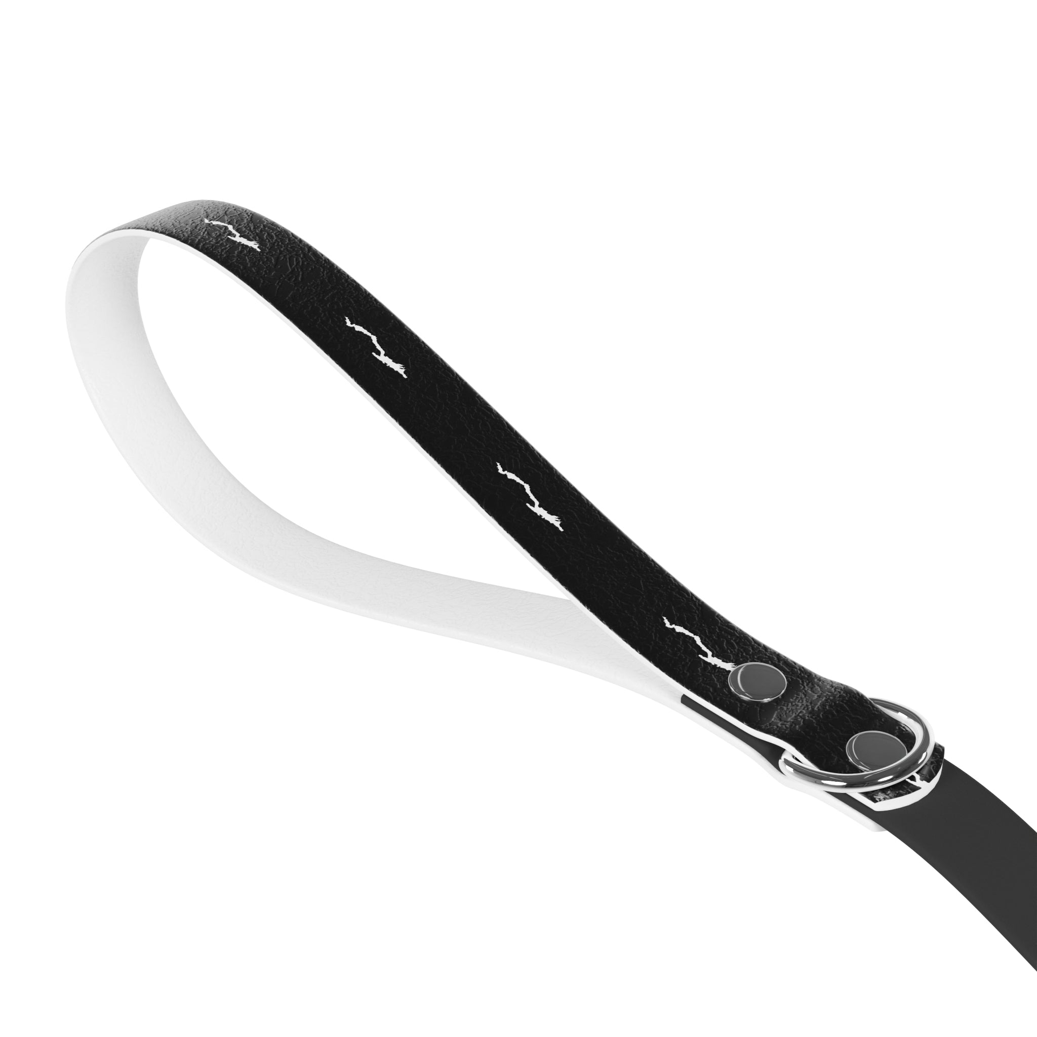 Lake George Dog Leash in Black