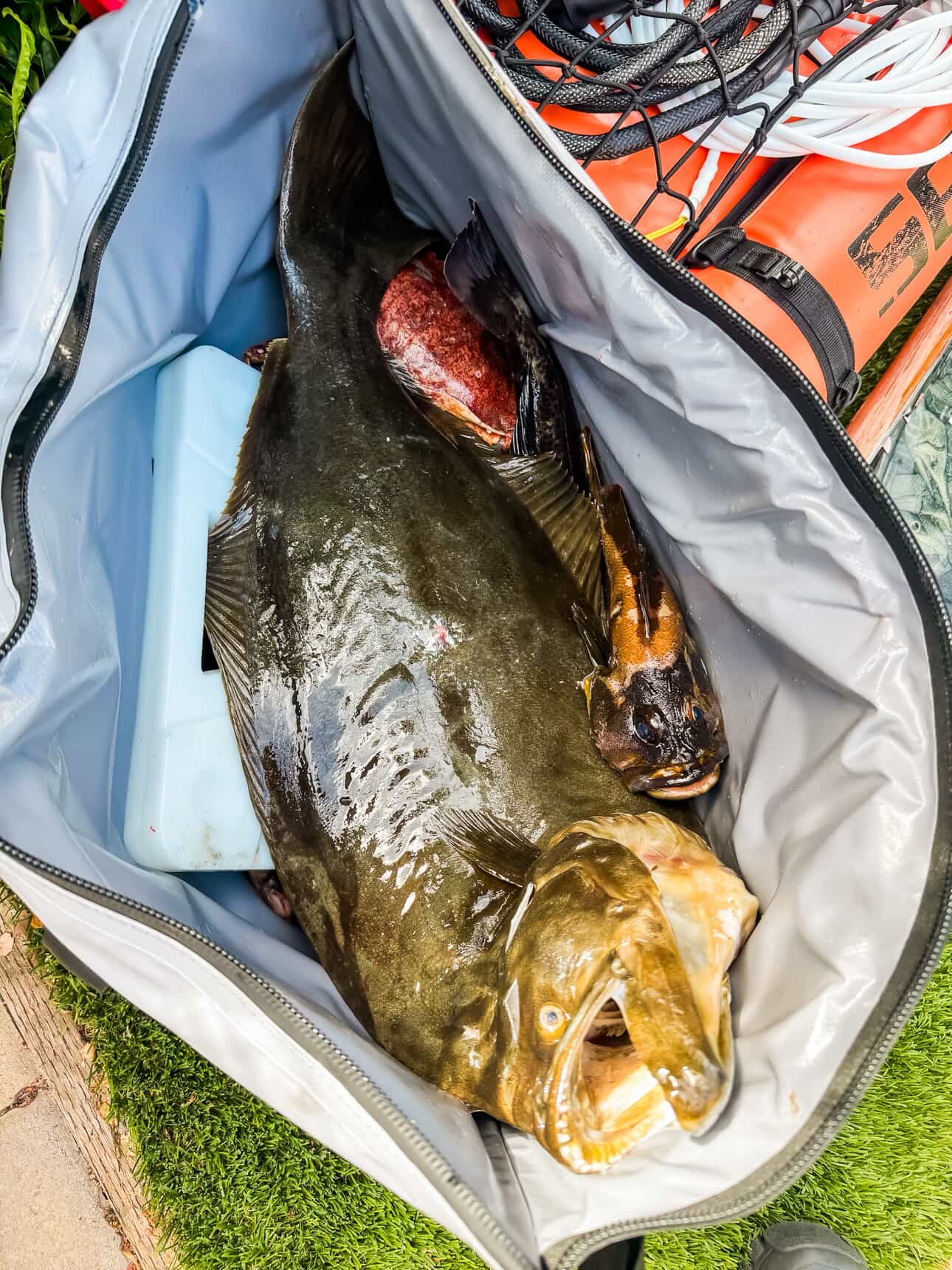 Insulated Fish Cooler Bag with Flat Bottom — 45QT / 42L