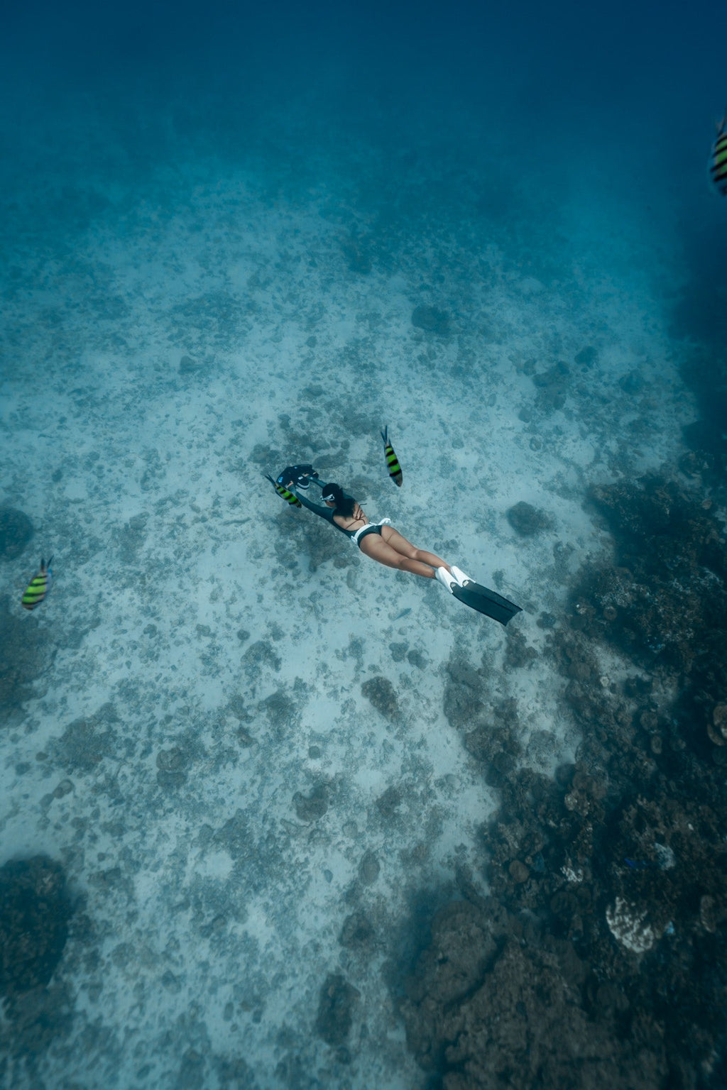 Sublue Navbow Underwater Scooter | 3-Speed OLED Dive Scooter