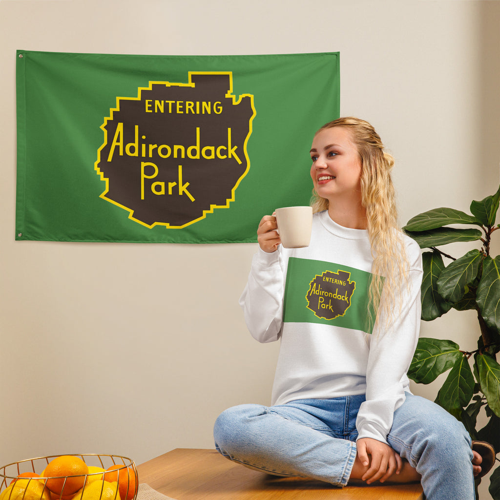 adirondack park flag interior view with model