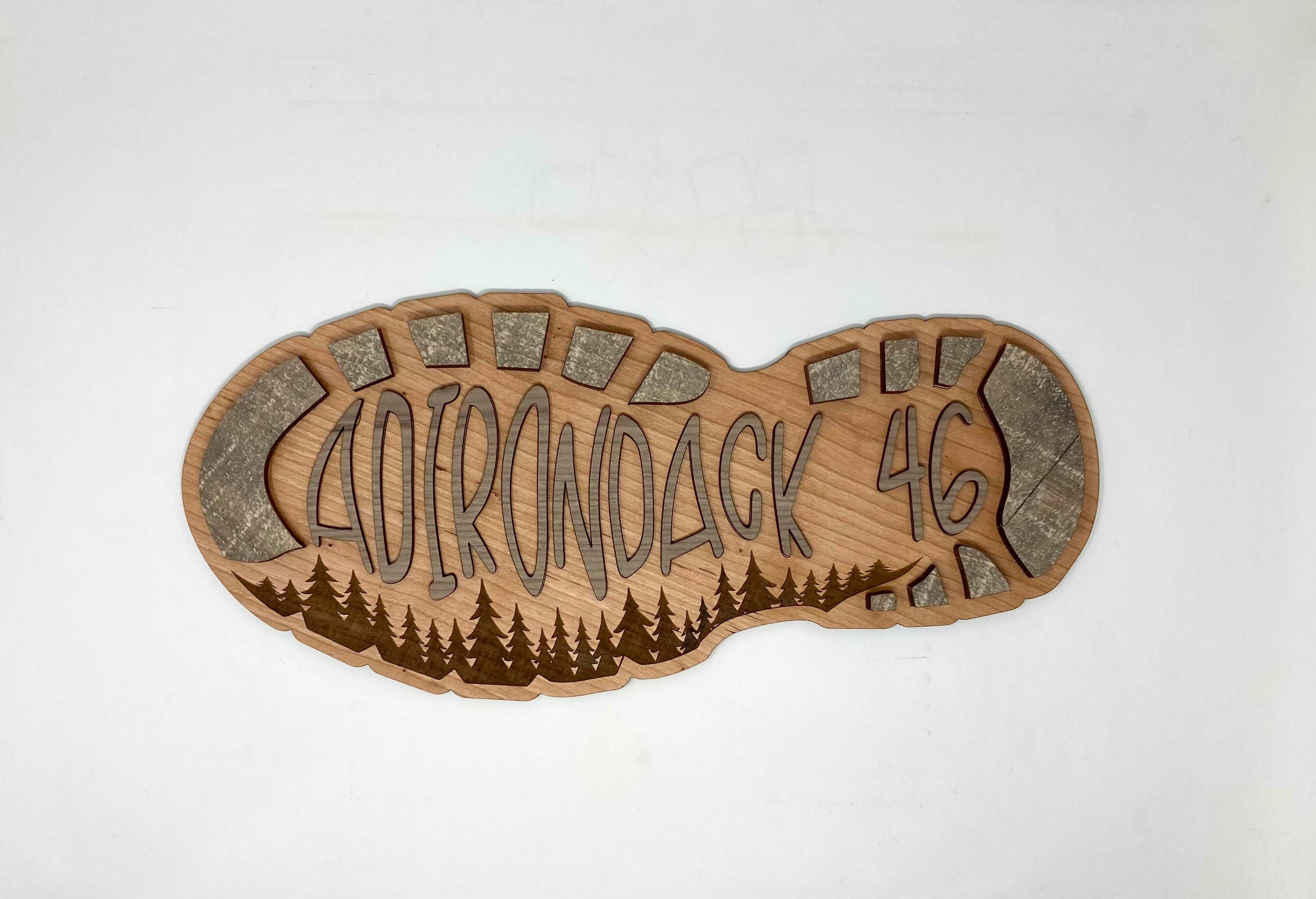 Adirondack 46 Hiking Boot Wall Art