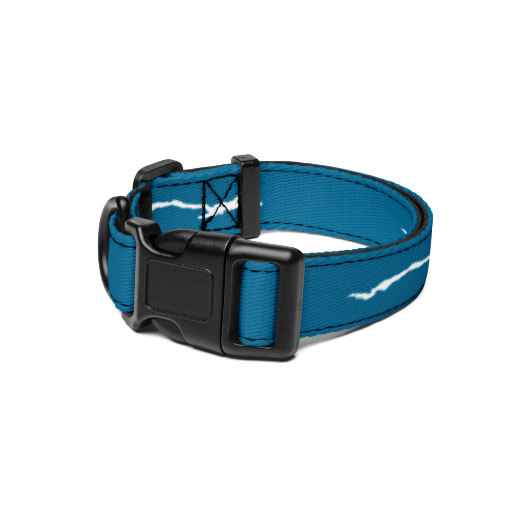 Lake George Dog Collar