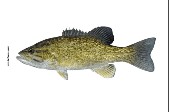 Smallmouth Bass Fish Flag