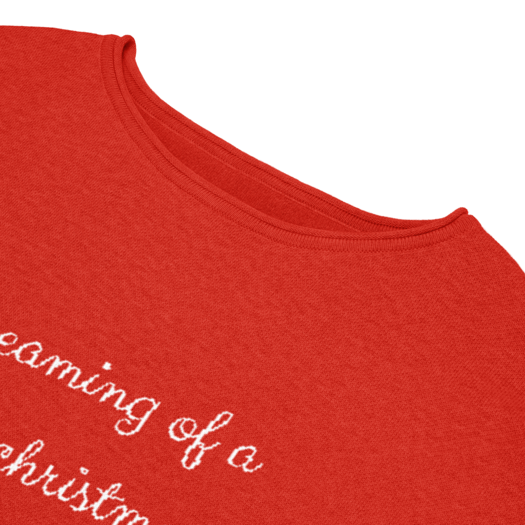 Lake George "Dreaming of a Lake Christmas" Women's Knitted Sweater